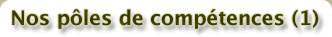 Nos poles de competences (1)