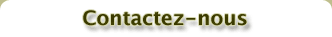 Contactez-nous
